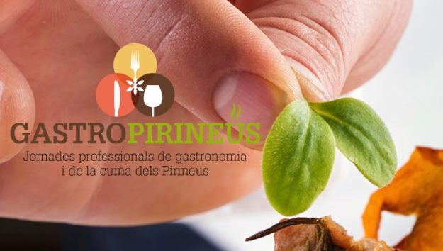mafriseu-gastropirineus